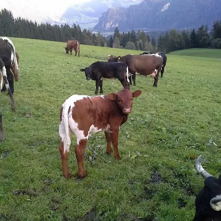 Stangleggerhof Farm stay
