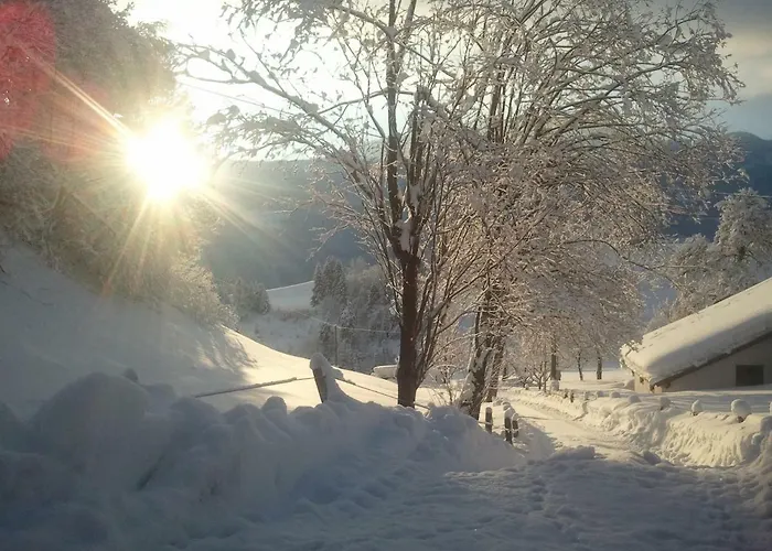 Stangleggerhof Gospodarstwo agroturystyczne *