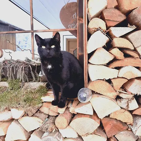 Stangleggerhof 팜스테이 *