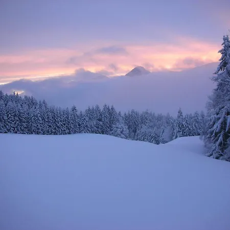 팜스테이 Stangleggerhof