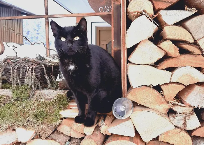 Stangleggerhof Lantgård *