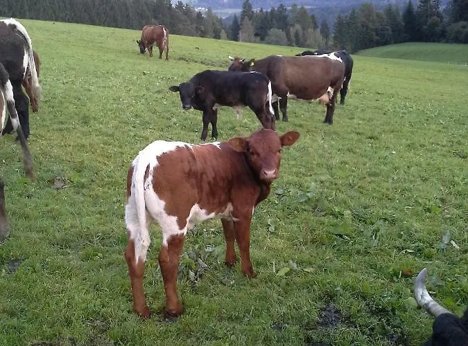 Stangleggerhof Lantgård