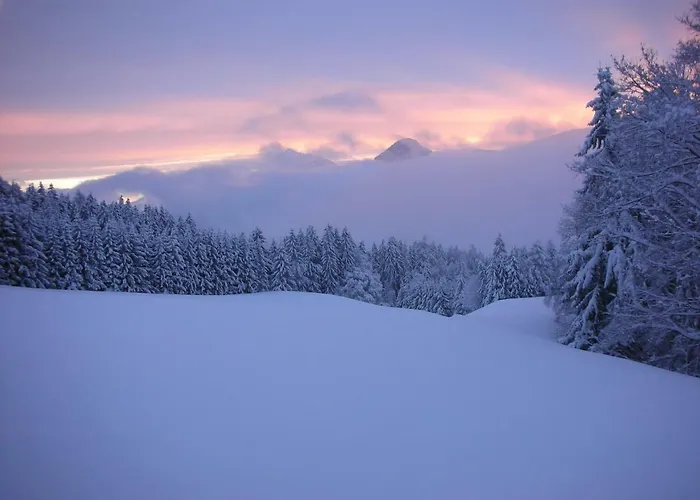 Lantgård Stangleggerhof