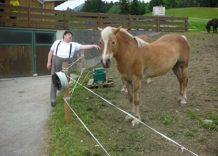 Lantgård Stangleggerhof *